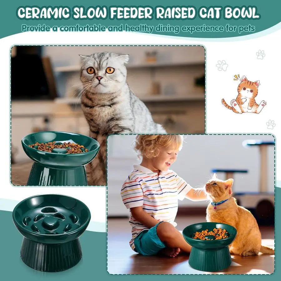 Ceramic Elevated Cat Slow Feeder Bowls Set