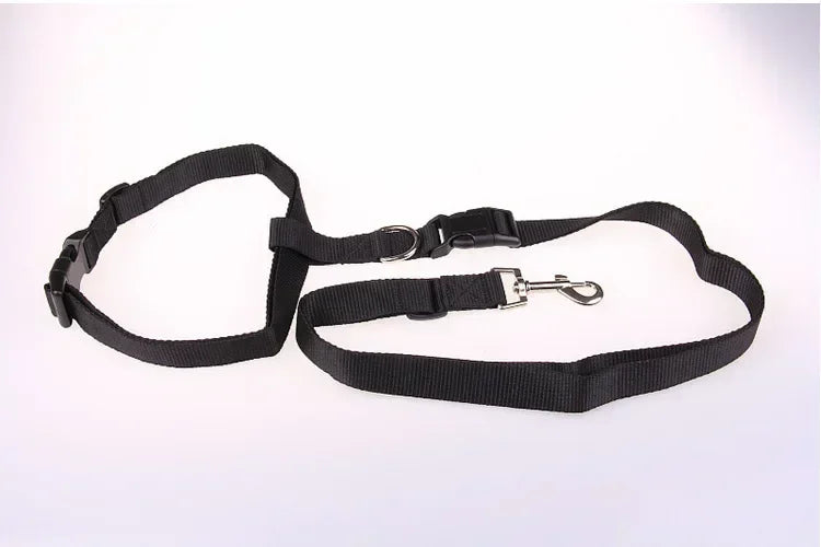 Adjustable Nylon Pet Leash for Cats and Small Dogs