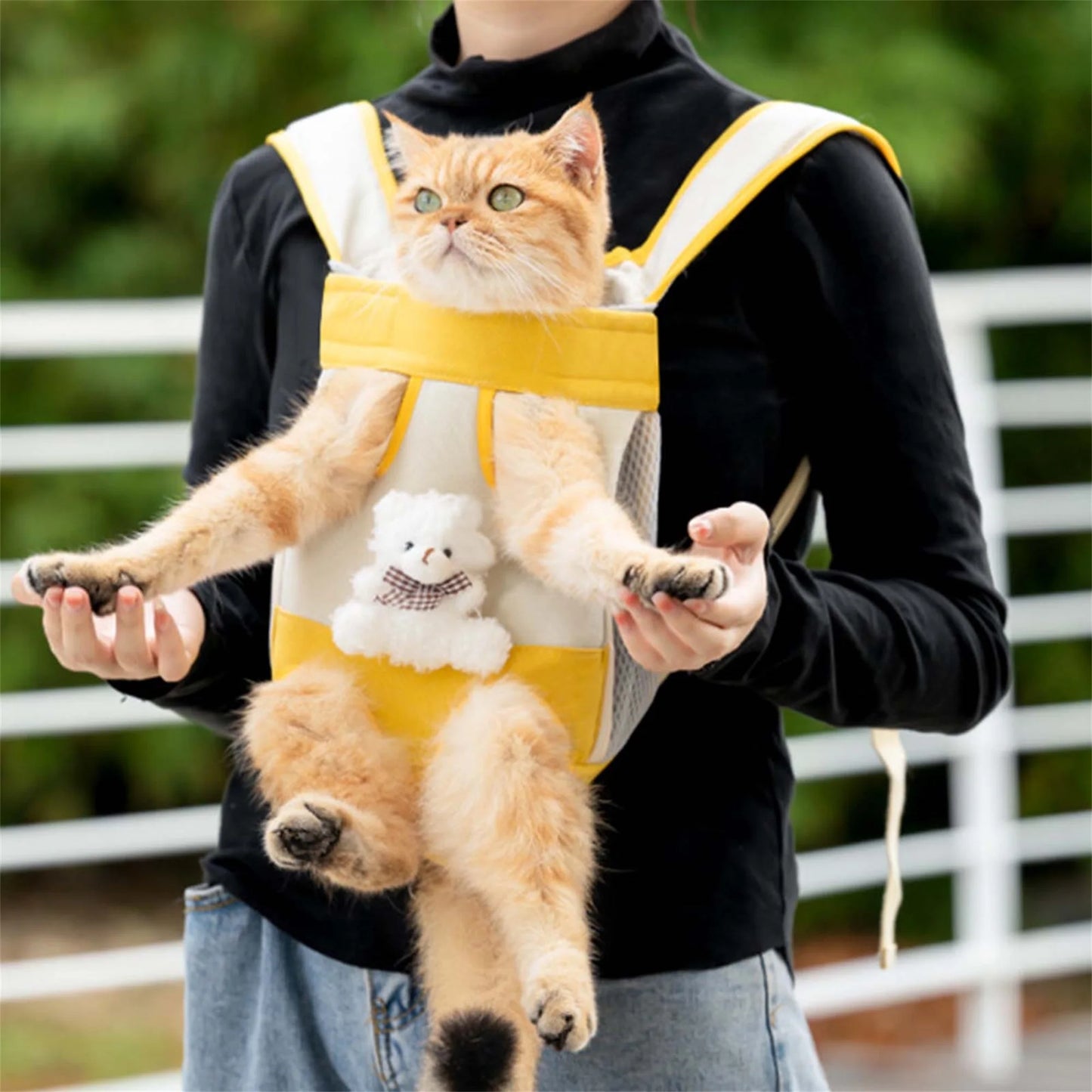 Portable Pet Carrier Backpack For Cats And Small Dogs