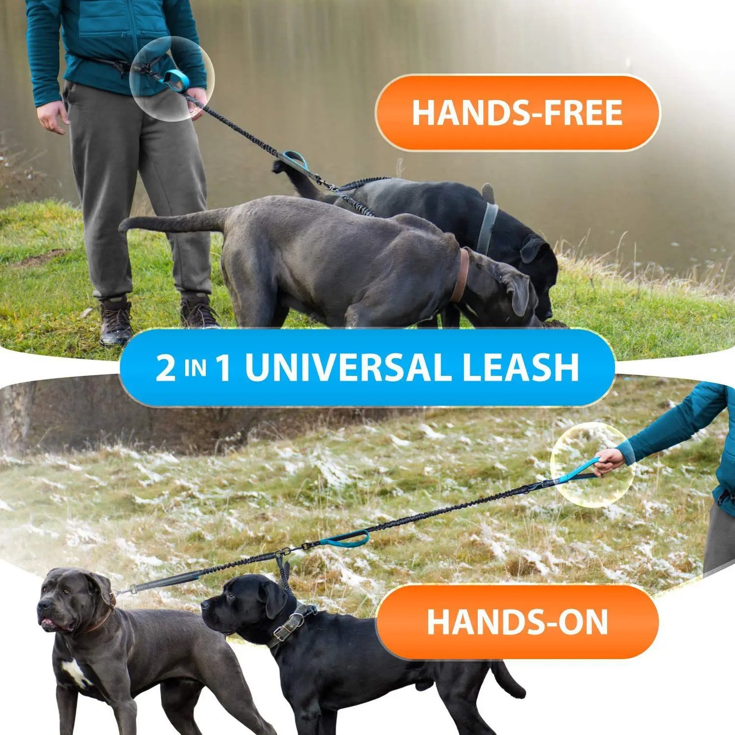 DCLOUD Hands Free Double Dog Leash For Two Dogs With Reflective Stitches