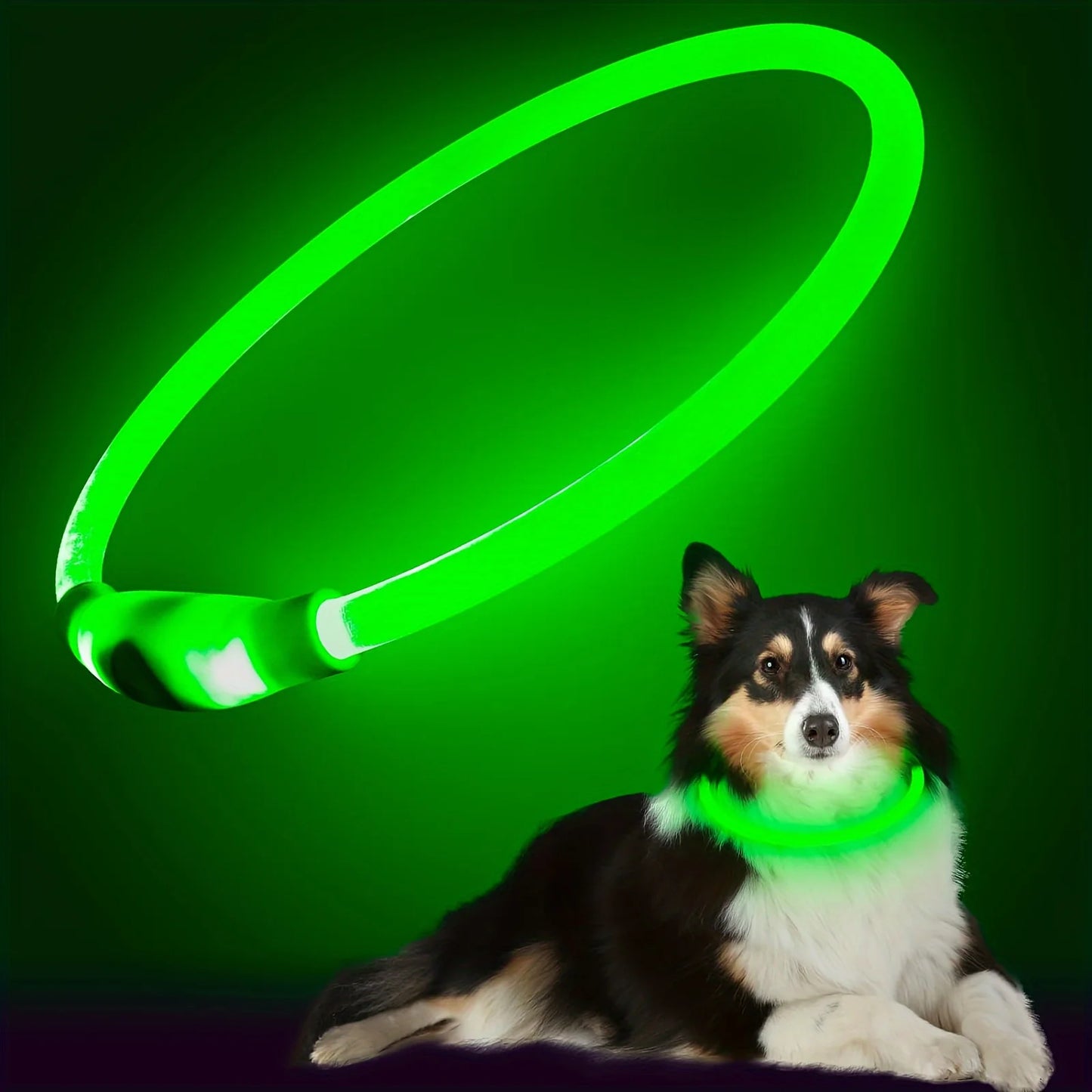 NONECN Pet Dog LED Light Collar USB Rechargeable Anti Lost