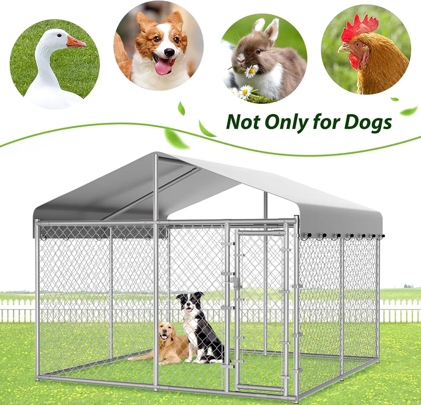 Outdoor Dog Kennel With Roof And Galvanized Chain Link