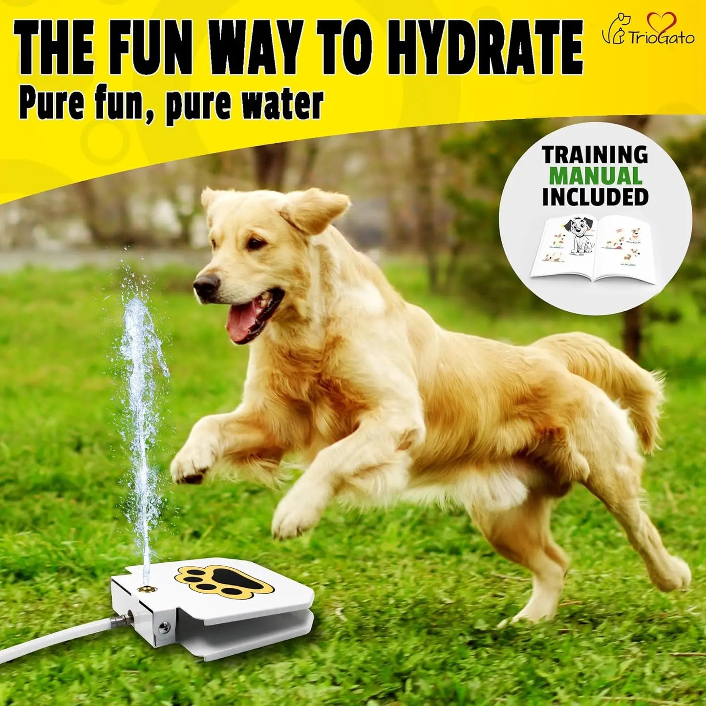 Paw-Activated Outdoor Dog Water Fountain With Garden Hose Connection