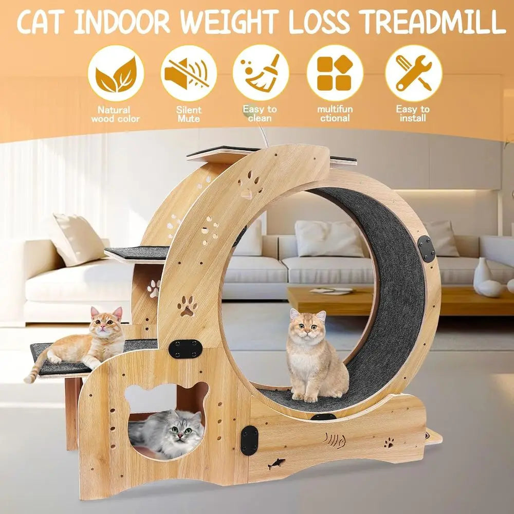 6-in-1 Indoor Cat Wheel For Exercise Scratch Climb Play Rest
