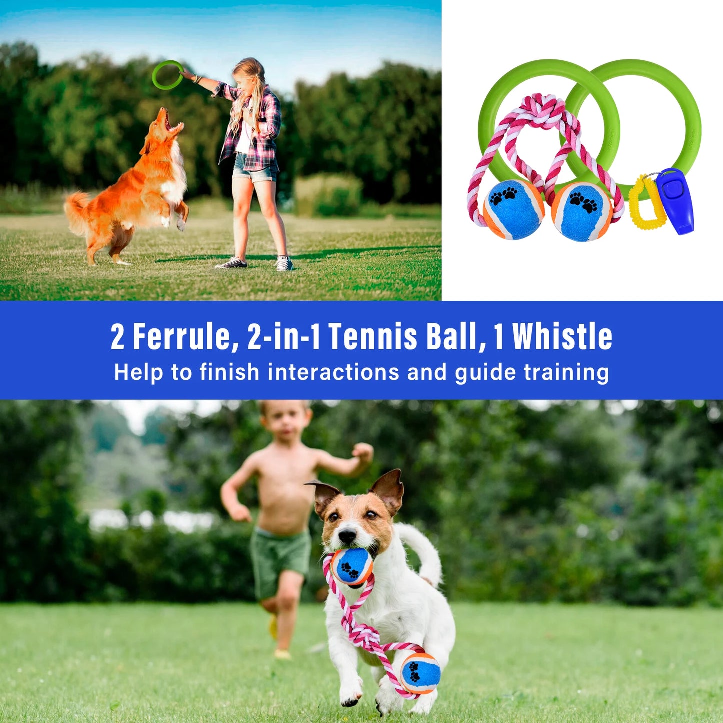 Dog Agility Course Backyard Set With Tunnels And Weave Poles
