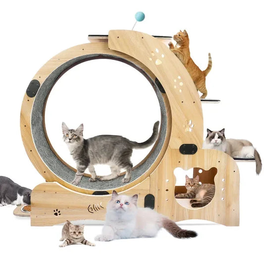 Upgraded Silent Cat Exercise Wheel 6-In-1 For Indoor Cats
