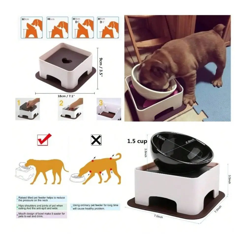 Wide Mouth Tilted Dog Feeder With Anti Skid Base
