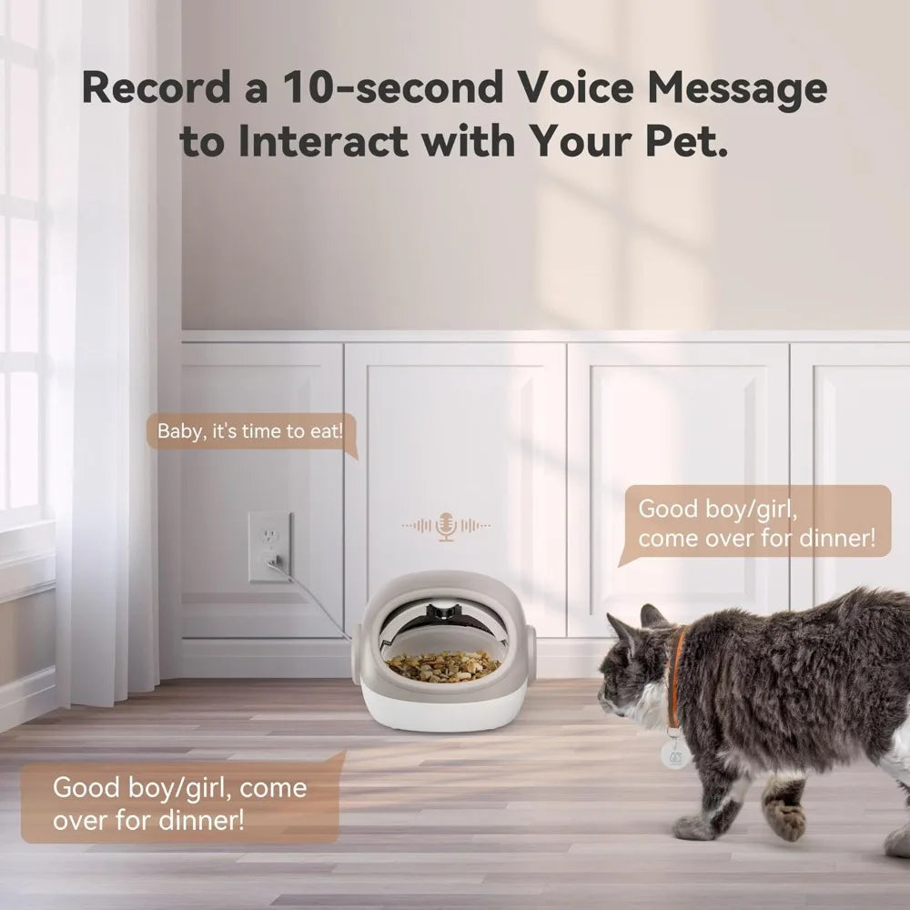 RFID Cat Feeder With Collar Sensor Anti-Theft Timed Feeding For Cats