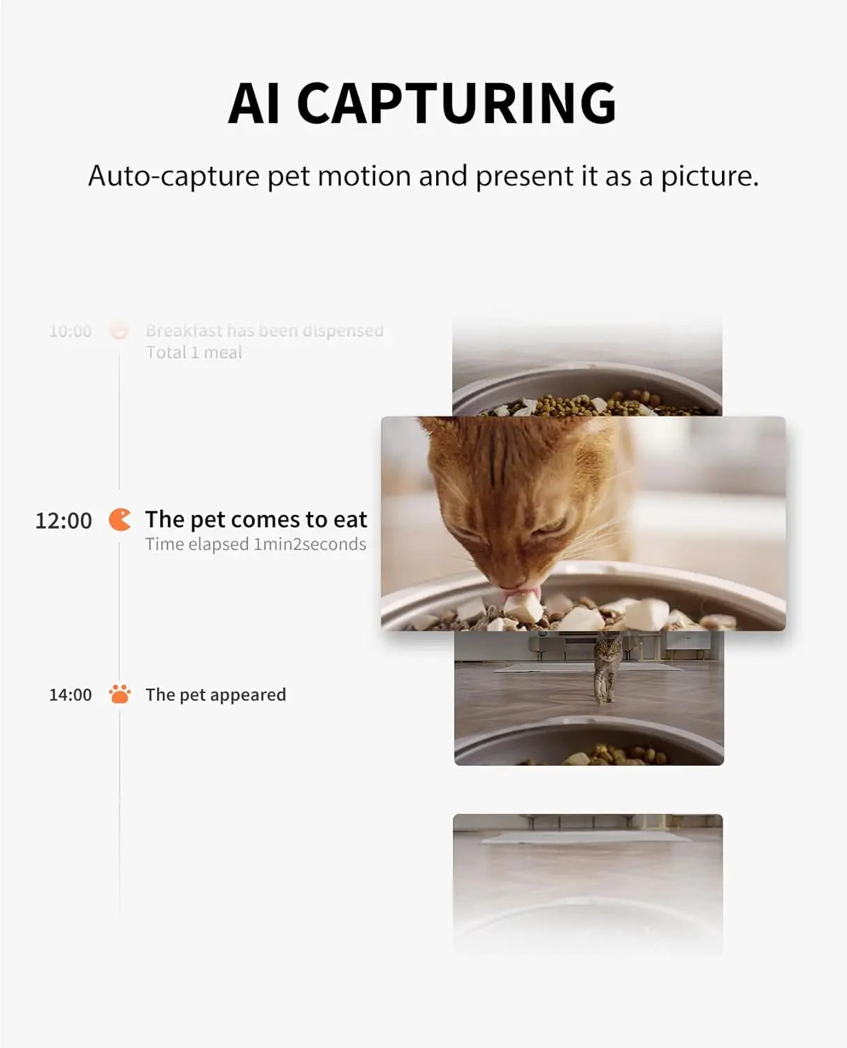 Automatic Pet Feeder With Camera, 1080P HD Video Night Vision