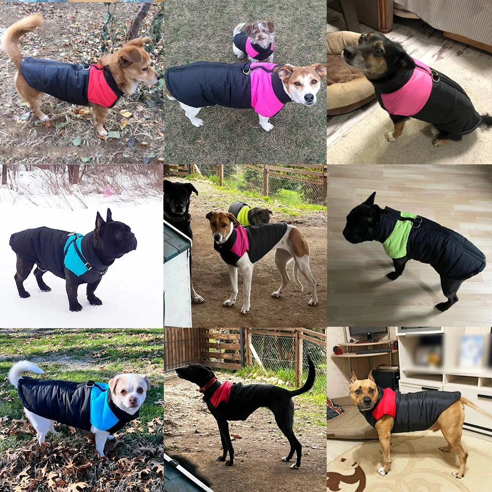 NONECN Pet Dog Winter Jacket Windproof Waterproof Coat