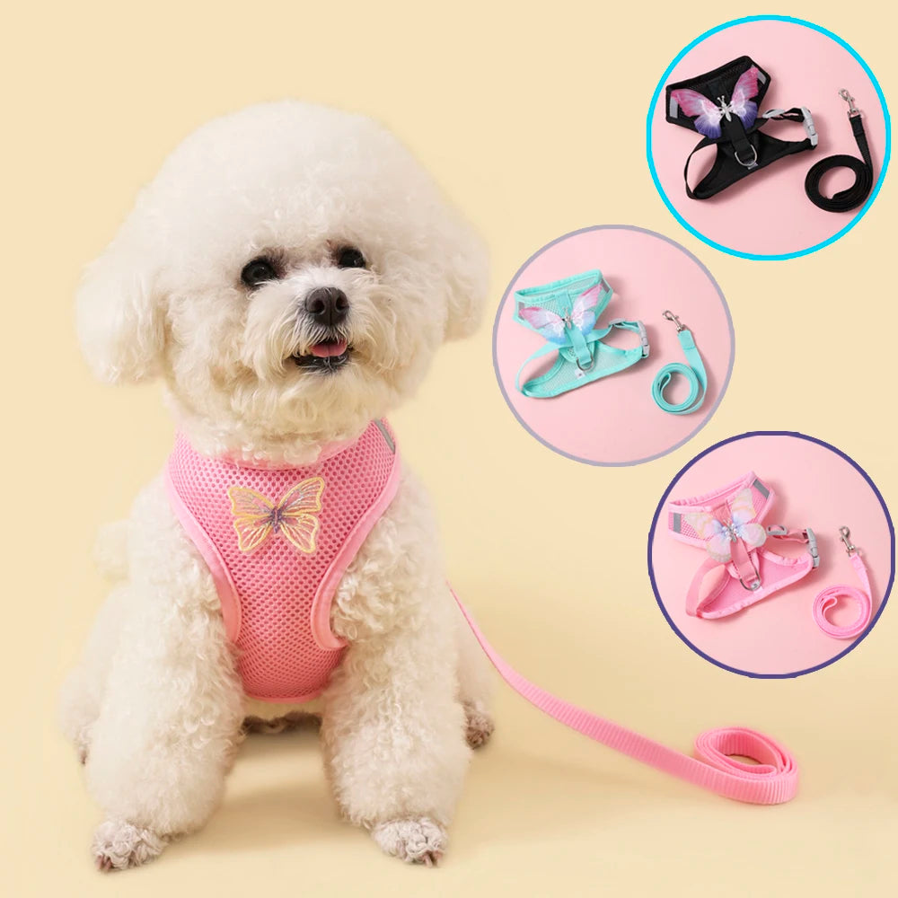Breathable Cat Harness Set Butterfly Design Leash Accessories