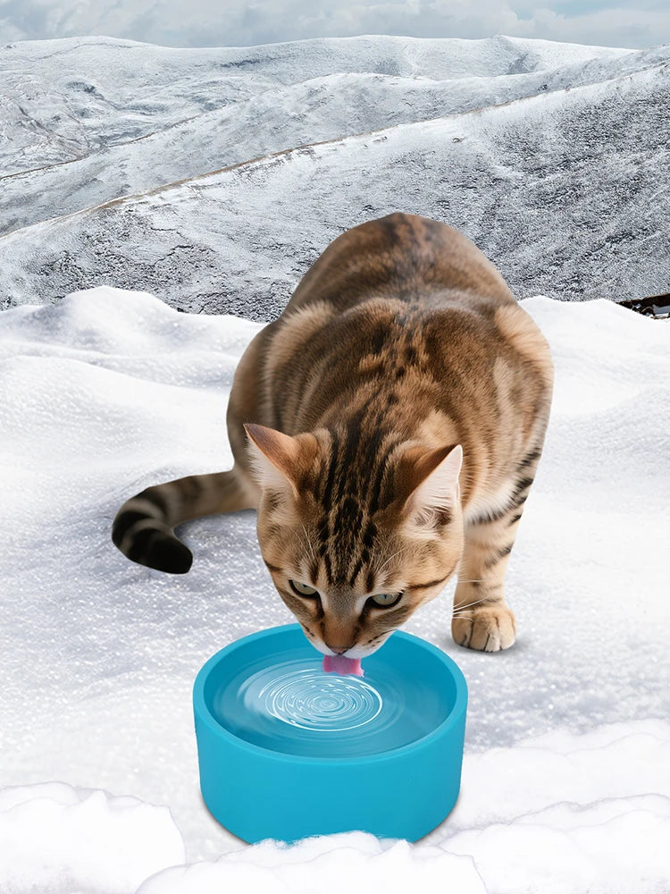 Outdoor Anti Freeze Heated Pet Water Bowl For Cat Dog