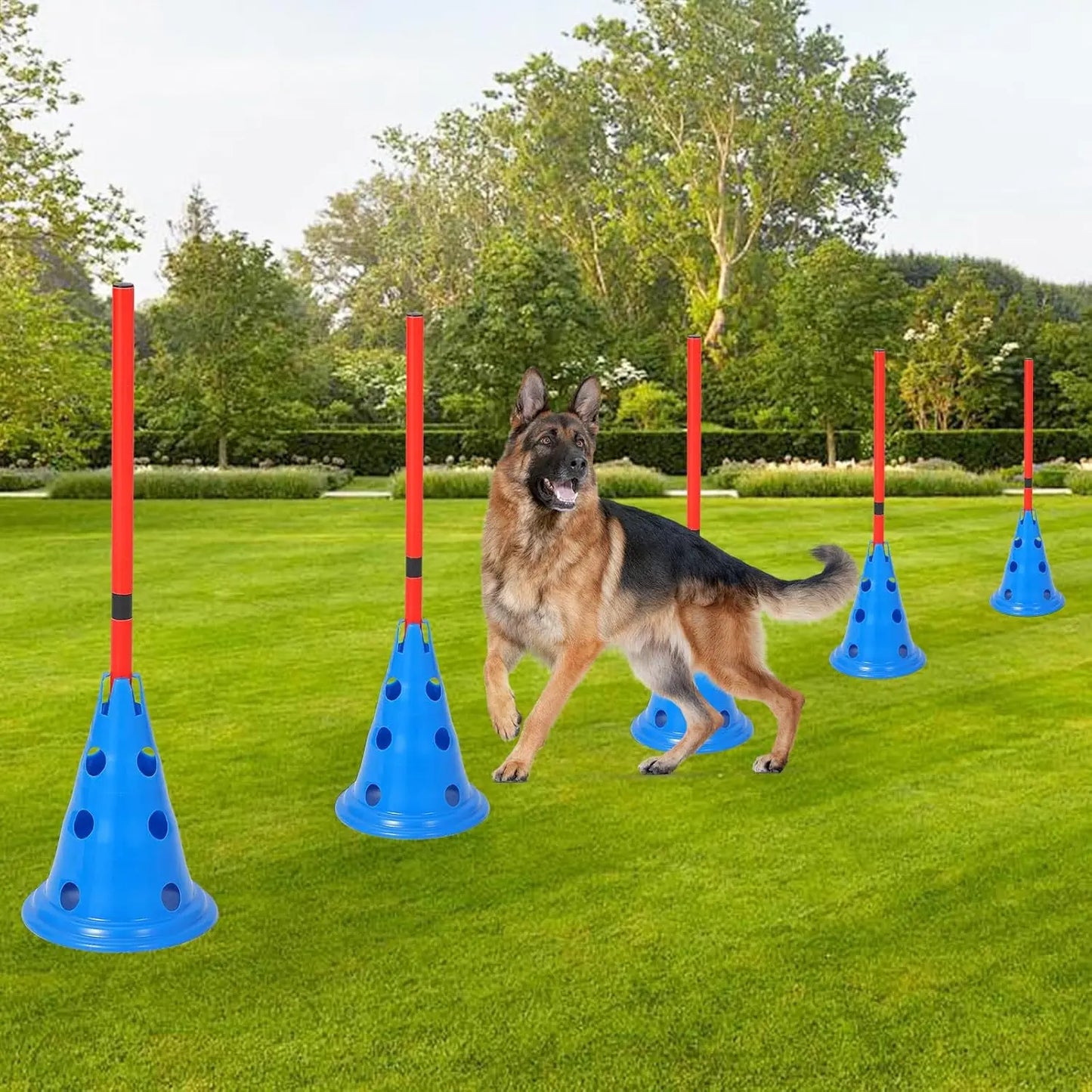HiMISS Dog Agility Hurdle Cone Set With 12 Cones Rods