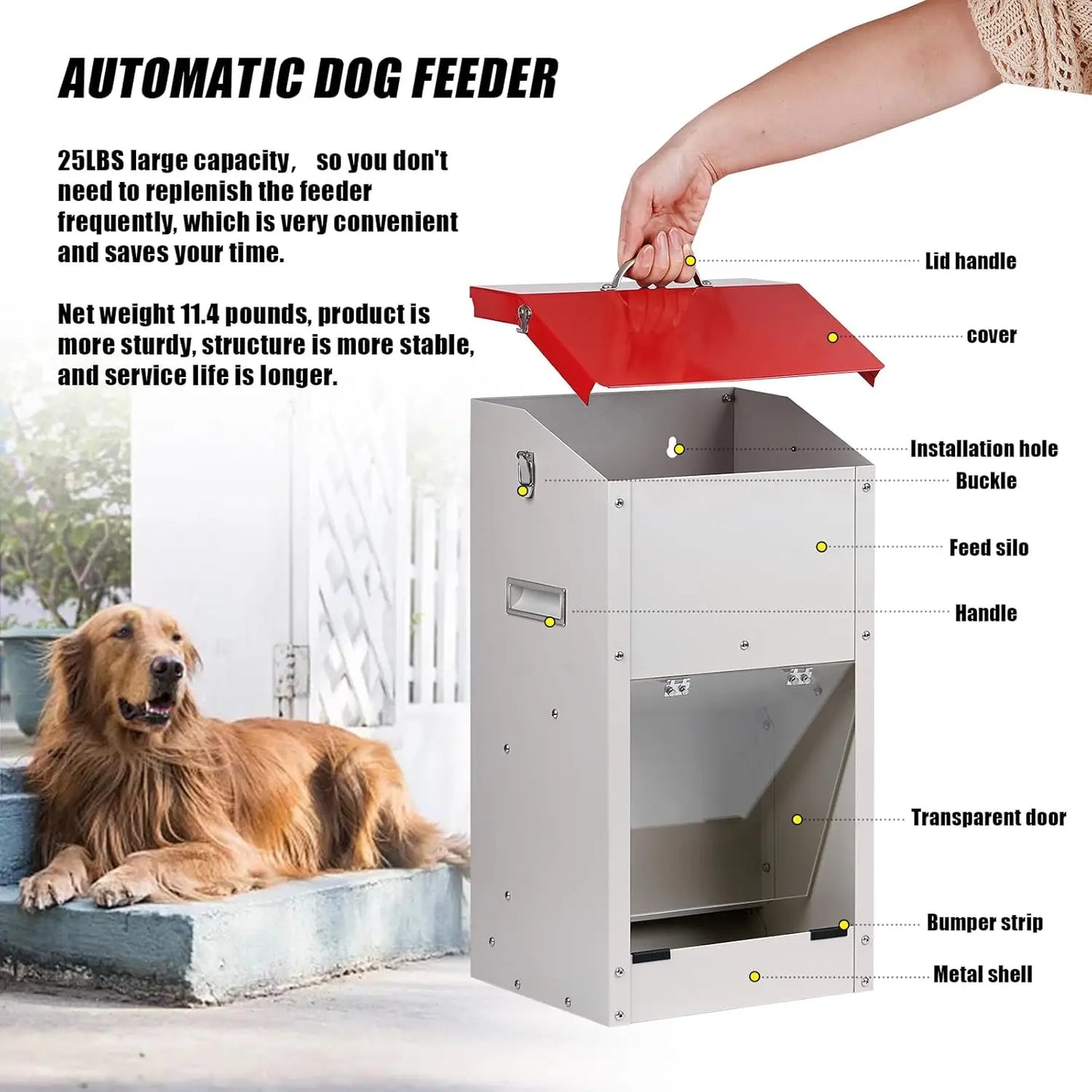 Automatic Dog Feeder for Large Breeds with Galvanized Steel Dispenser