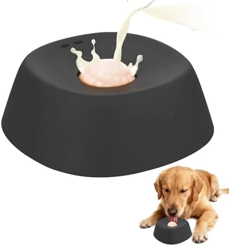 Anti-Choking Slow Feeder Dog Bowl Non-Slip Three Quarters Cup