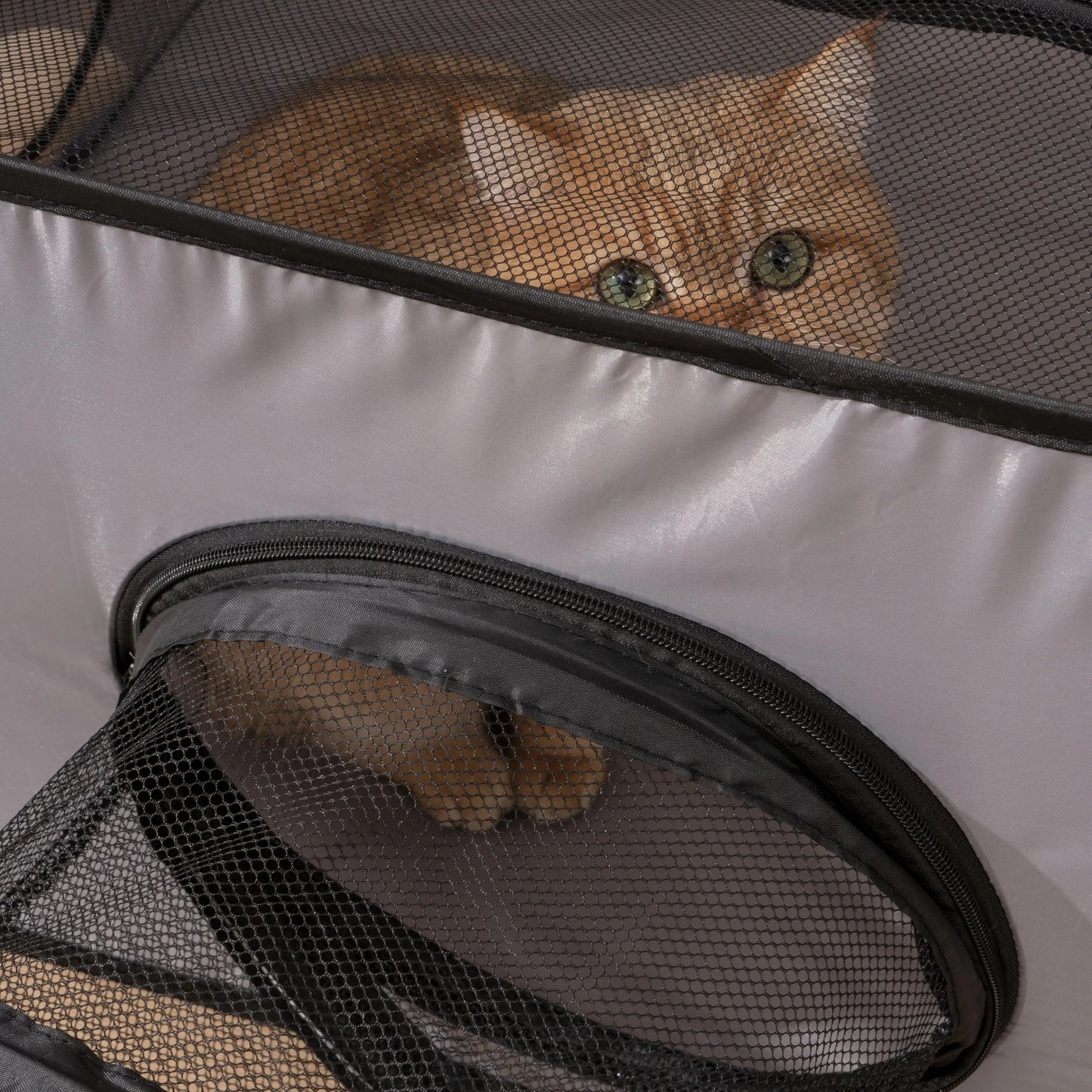 Foldable Pet Bed With Play Tunnel For Cats And Dogs