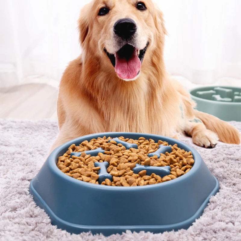 Pet Slow Feeder Bowl Anti Choking Plastic Dish For Dogs