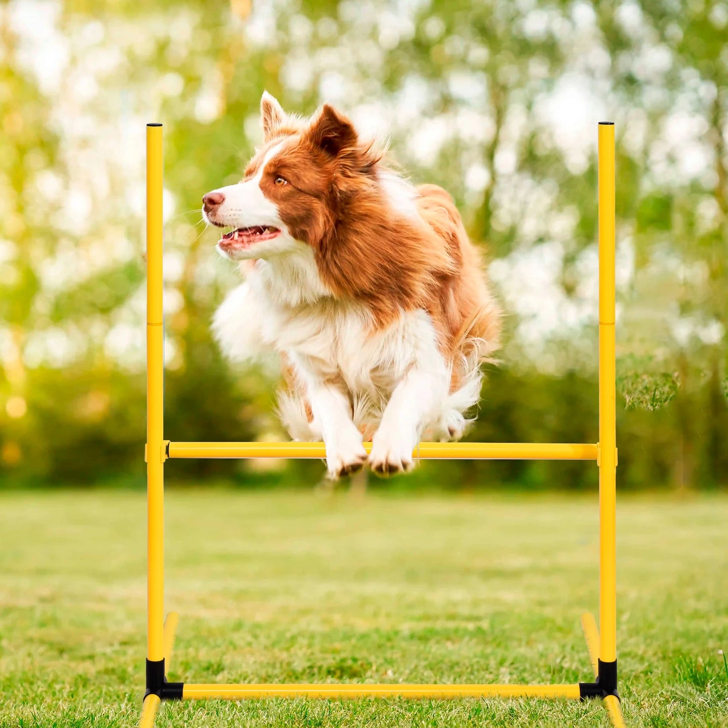 Dog Agility Course Backyard Set With Tunnels And Weave Poles