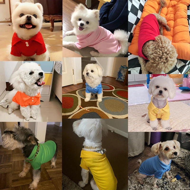 Doggyzstyle Summer Pet Vest Breathable Polo Shirt For Dogs