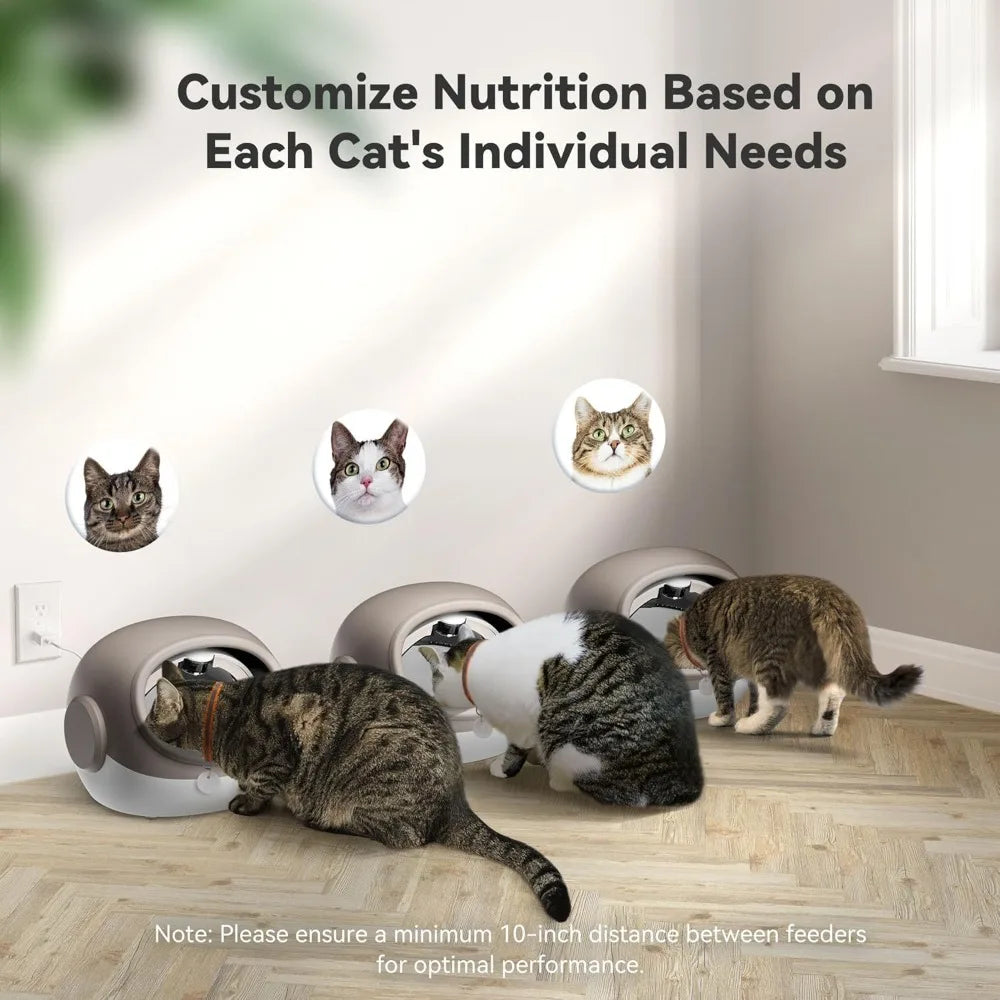 RFID Cat Feeder With Collar Sensor Anti-Theft Timed Feeding For Cats