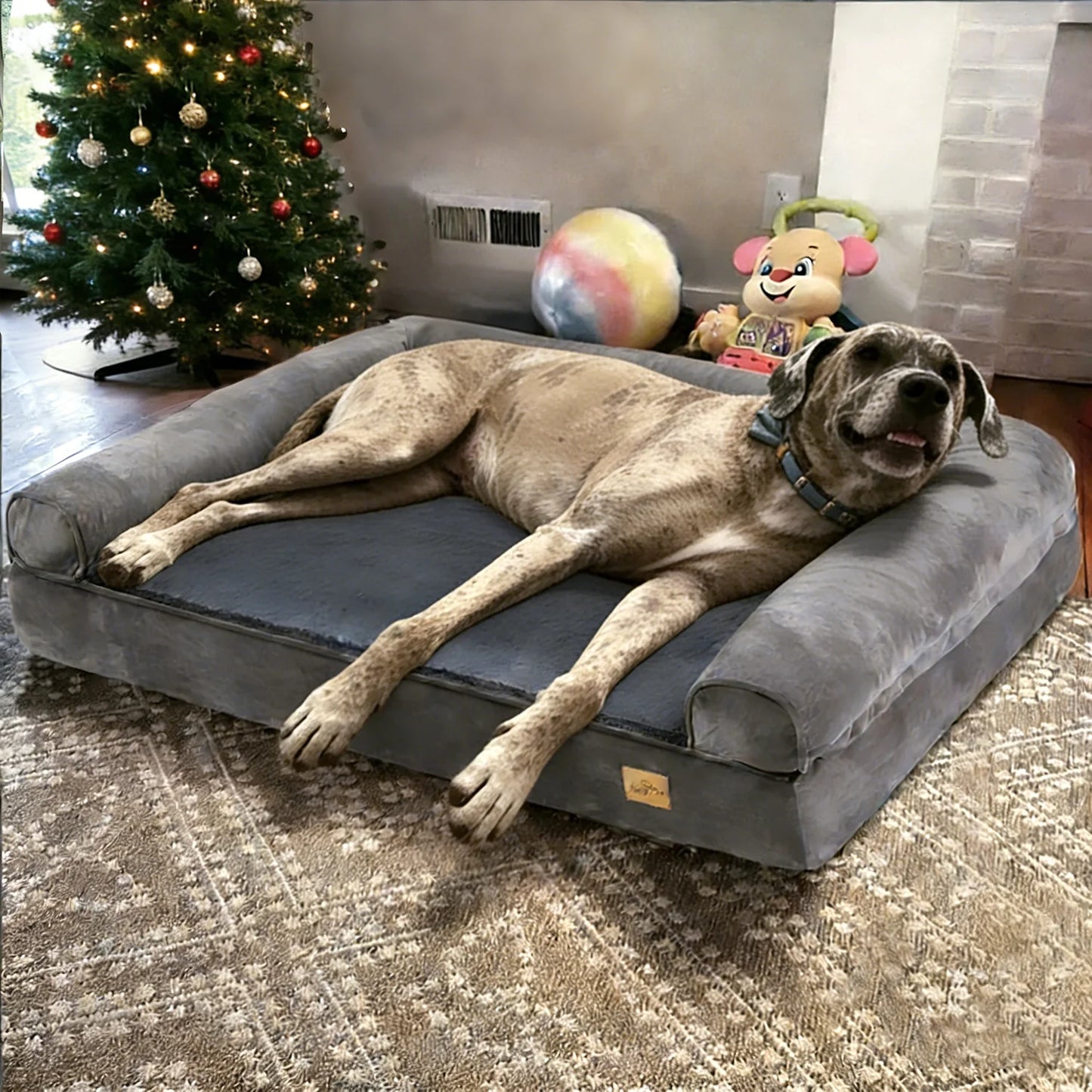BORWARTCN Calming Orthopedic Memory Foam Dog Bed With Removable Cover