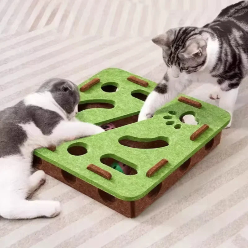 Interactive Cat Toy Maze Puzzle for Kitten with Bell Balls