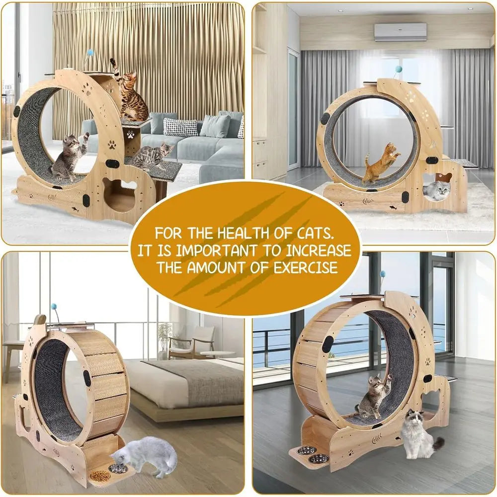 6-in-1 Indoor Cat Wheel For Exercise Scratch Climb Play Rest