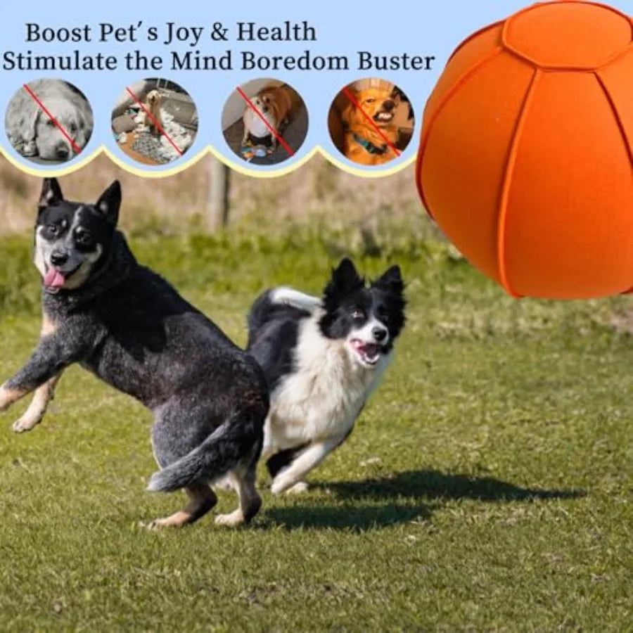 YAO HUI HUANG Herding Ball For Dogs Dual Layered Set