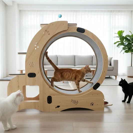 6-in-1 Indoor Cat Wheel For Exercise Scratch Climb Play Rest