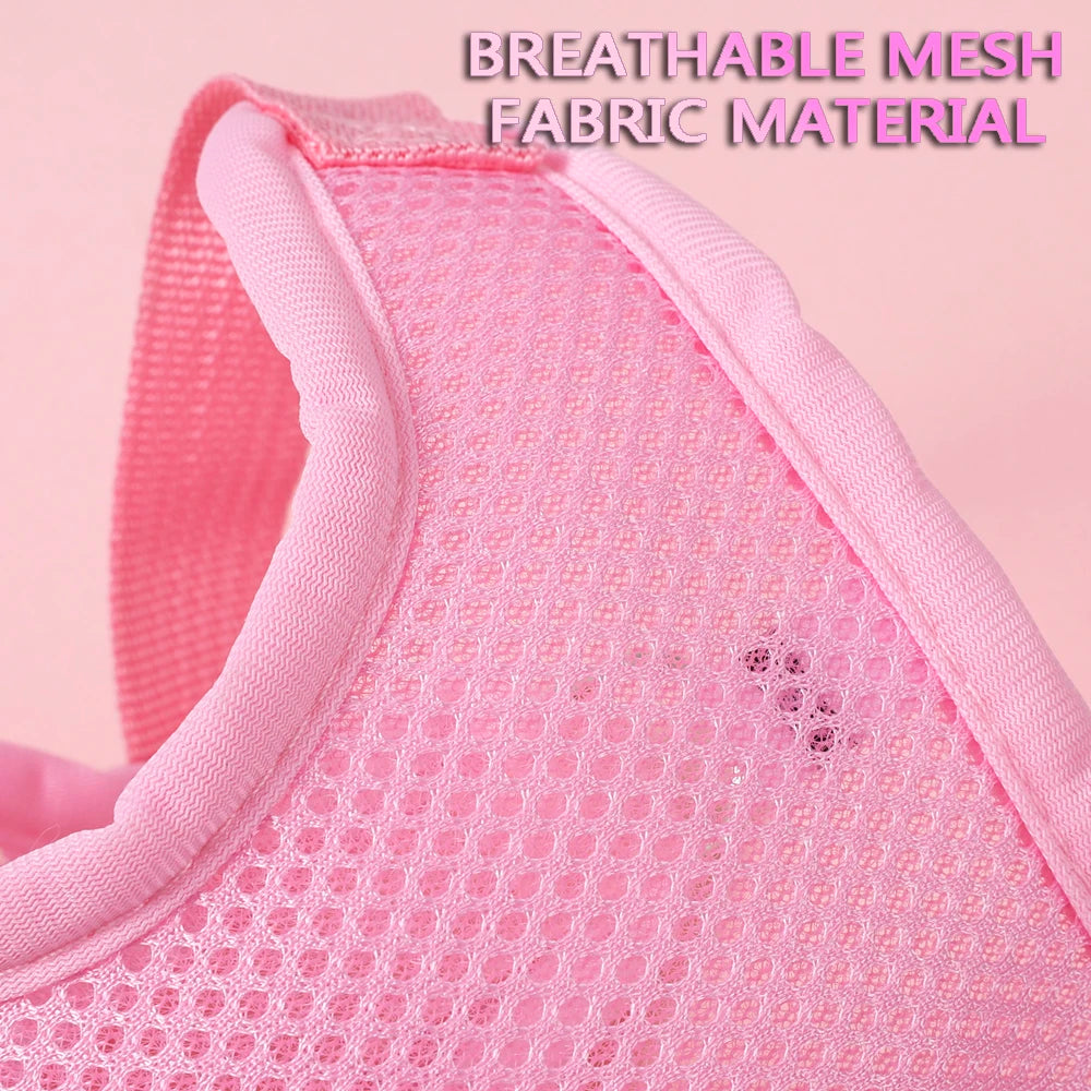 Breathable Cat Harness Set Butterfly Design Leash Accessories