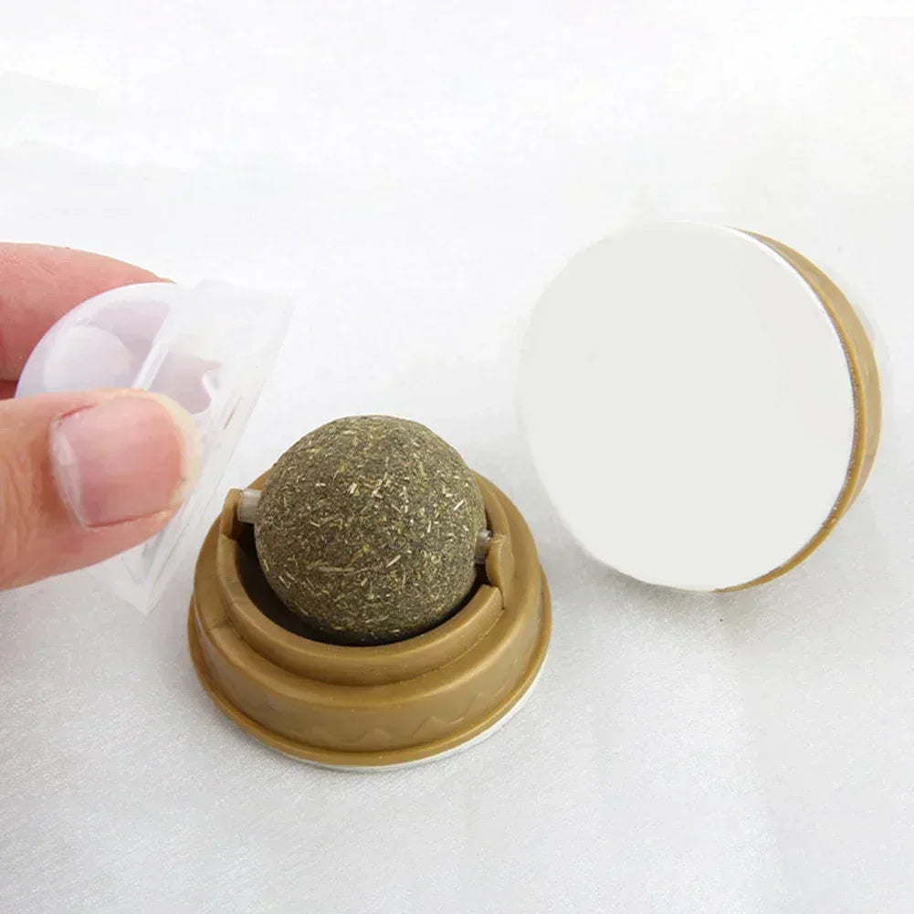 Catnip Toys Set Edible Catmint Balls For Safe Play