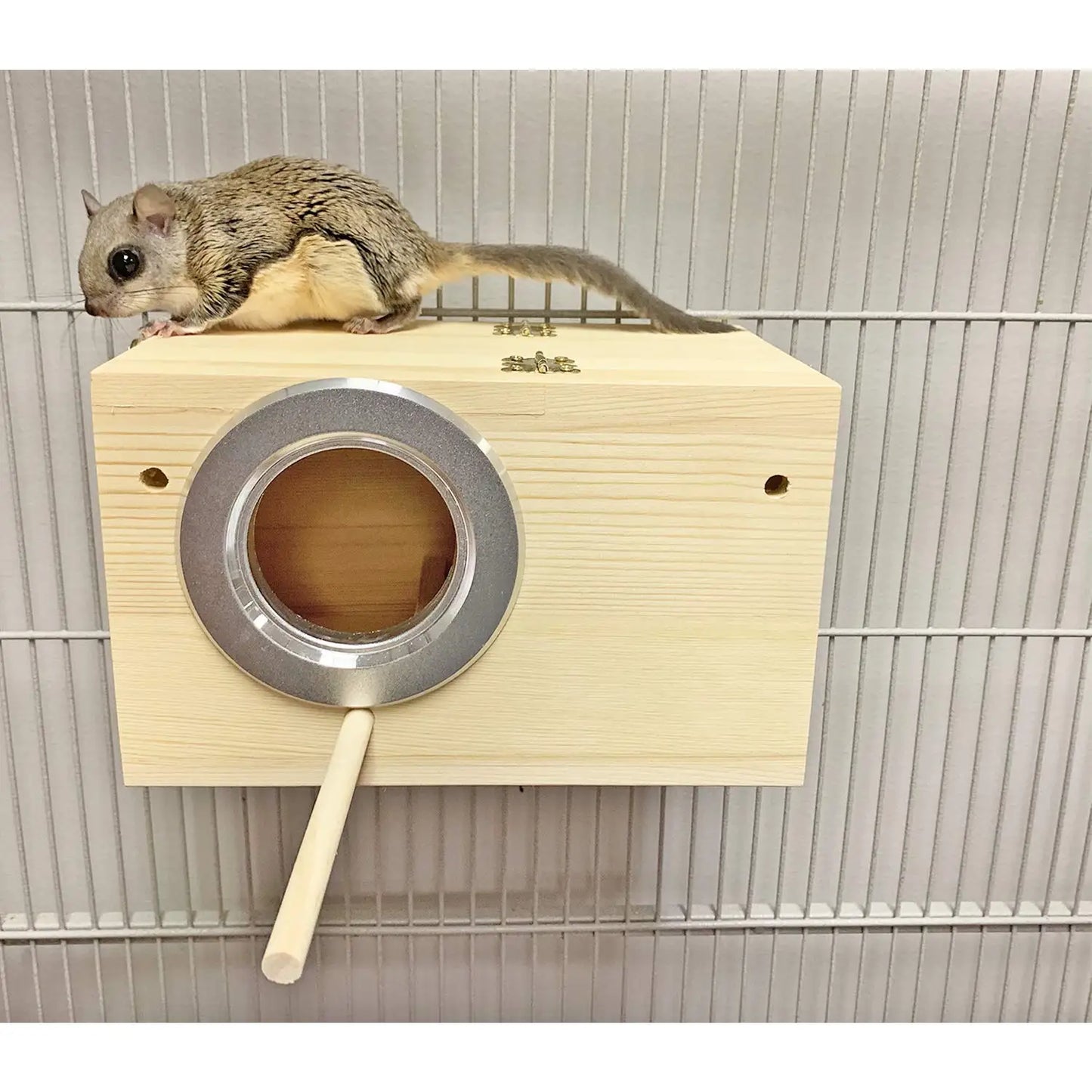 Congo Squirrel Cage Starter Kit With Food And Water Bottle