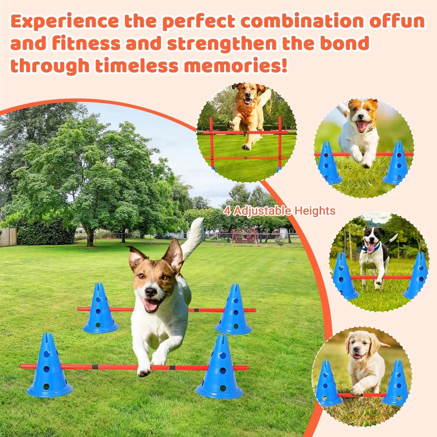 HiMISS Dog Agility Hurdle Cone Set With 12 Cones Rods