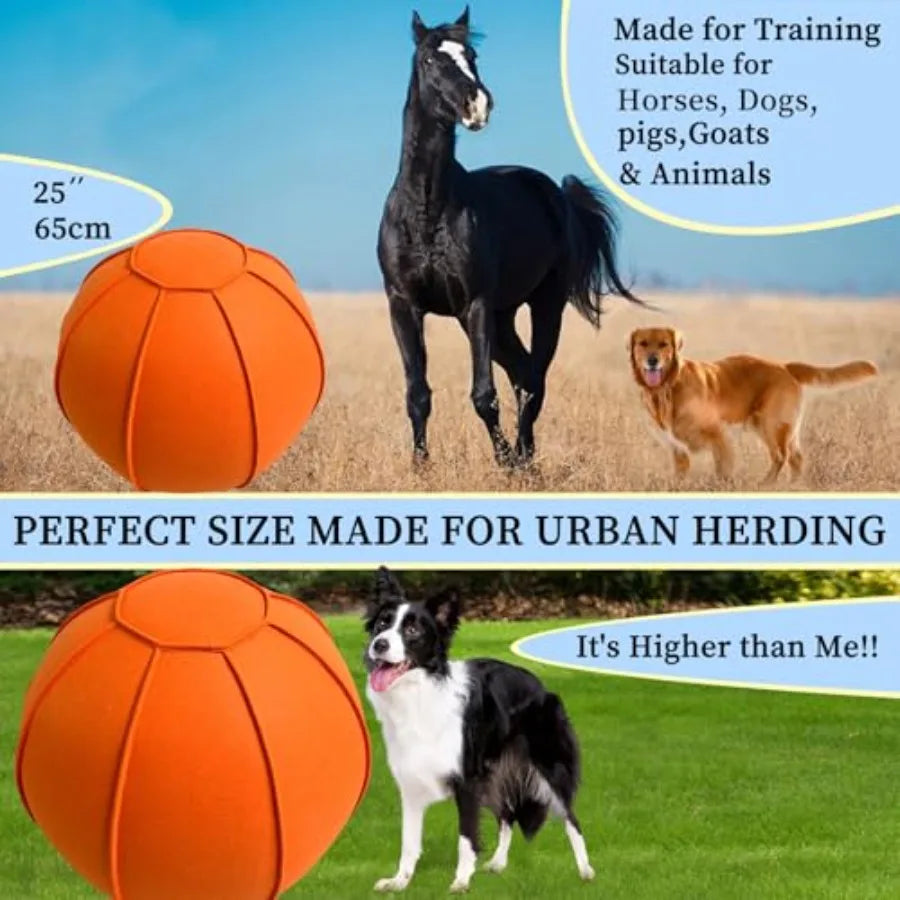 YAO HUI HUANG Herding Ball For Dogs Dual Layered Set