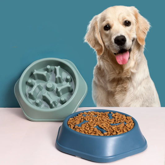 Pet Slow Feeder Bowl Anti Choking Plastic Dish For Dogs
