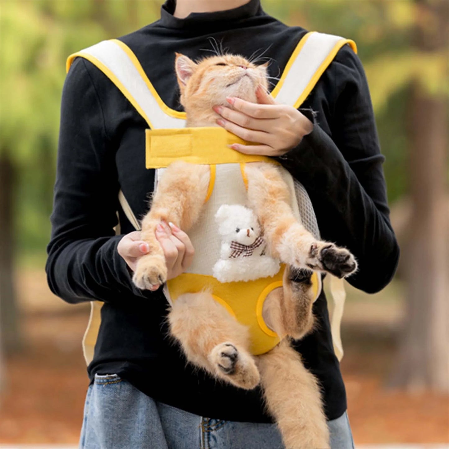 Portable Pet Carrier Backpack For Cats And Small Dogs