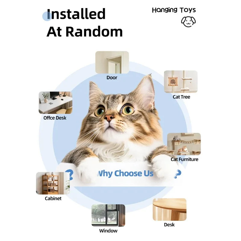 Self Playing Cat Toy Automatic Retractable Teaser For Indoor Cats