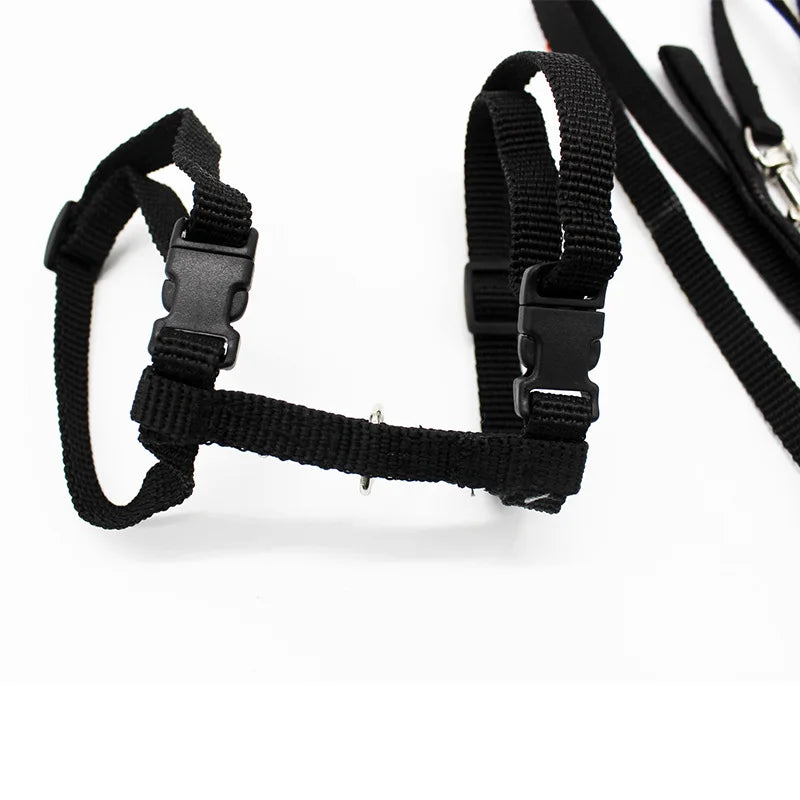 Adjustable Cat Collar Harness Leash Set Nylon Kitten Friendly