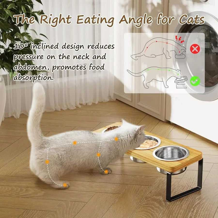 Elevated Tilted Cat Bowl Set With 3 Stainless Steel Bowls