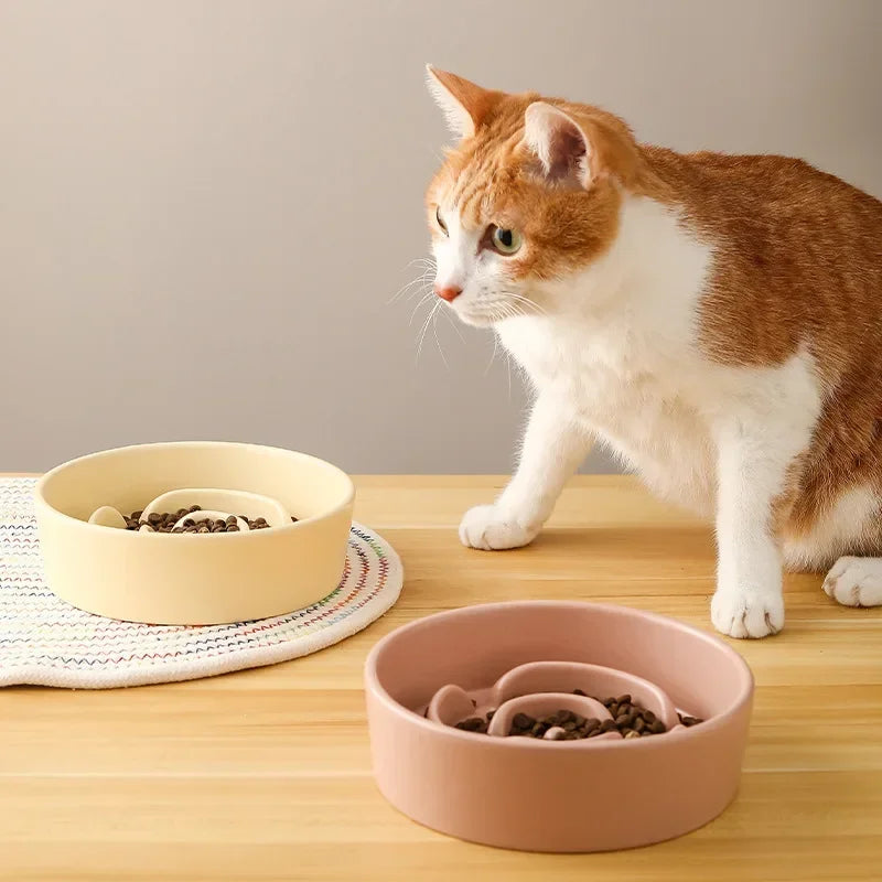 Ceramic Slow Feeder Bowl For Cats And Dogs