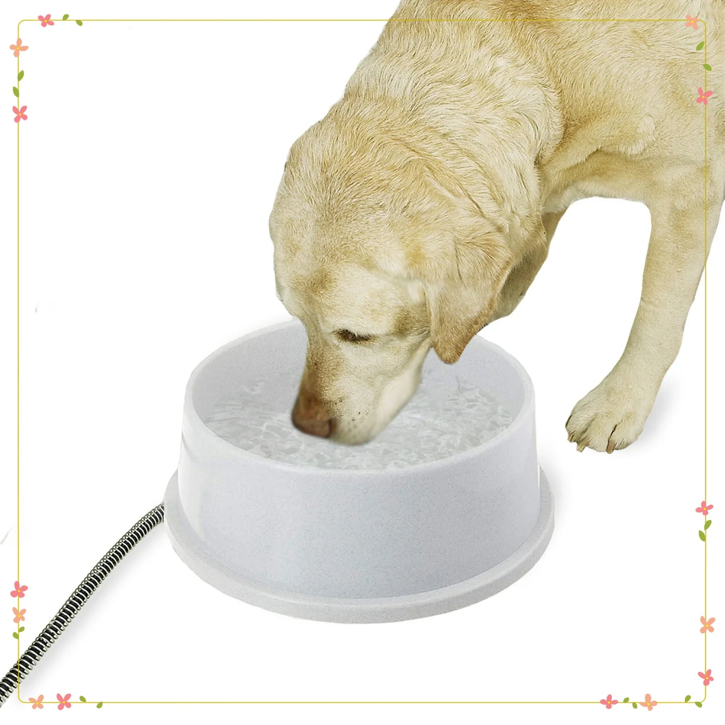 Outdoor Thermostatically Controlled Heated Water Bowl for Cats and Dogs