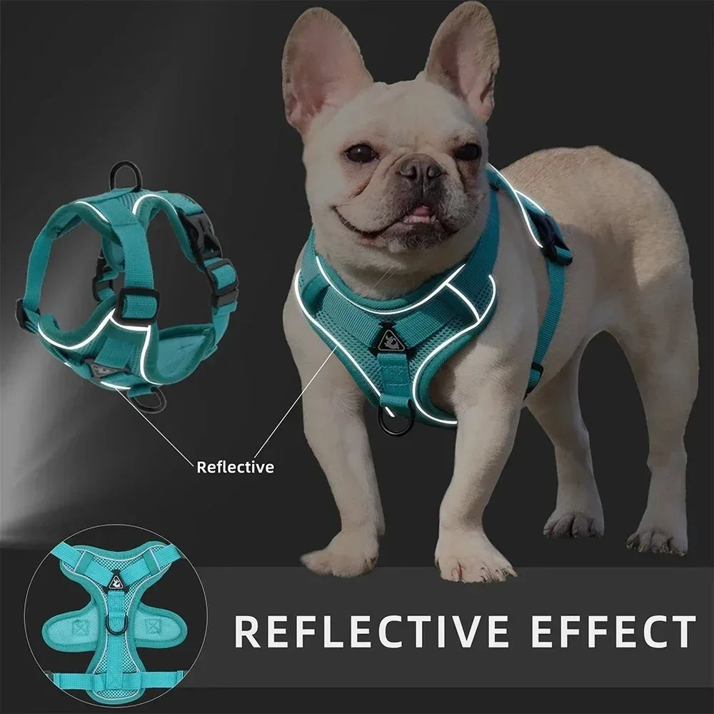 NONECN No Pull Dog Harness And Leash Set Reflective
