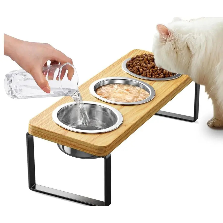 Elevated Tilted Cat Bowl Set With 3 Stainless Steel Bowls