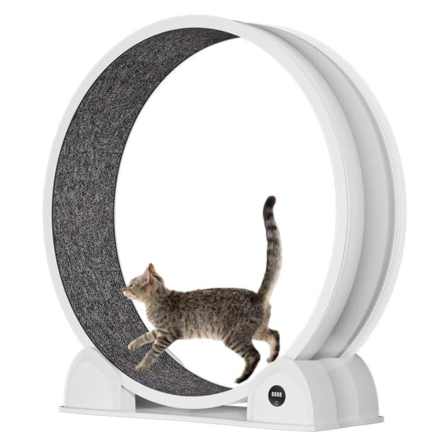 HiMISSCN Abs Cat Exercise Wheel For Indoor Cats Quiet Treadmill