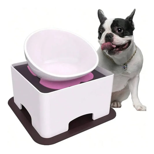 Wide Mouth Tilted Dog Feeder With Anti Skid Base