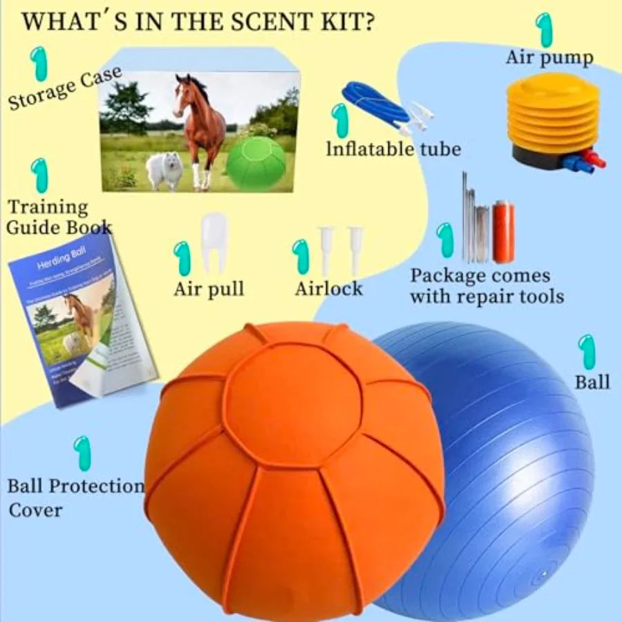 YAO HUI HUANG Herding Ball For Dogs Dual Layered Set