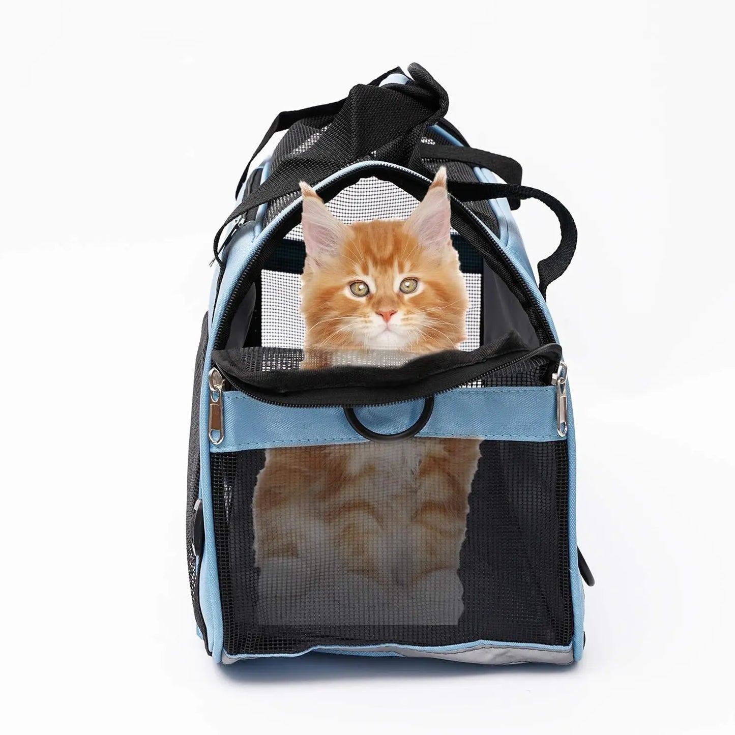Soft-Sided Pet Carrier – Airline Approved for Small & Medium Cats/Dogs – Blue, Small for Travel