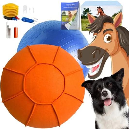 YAO HUI HUANG Herding Ball For Dogs Dual Layered Set