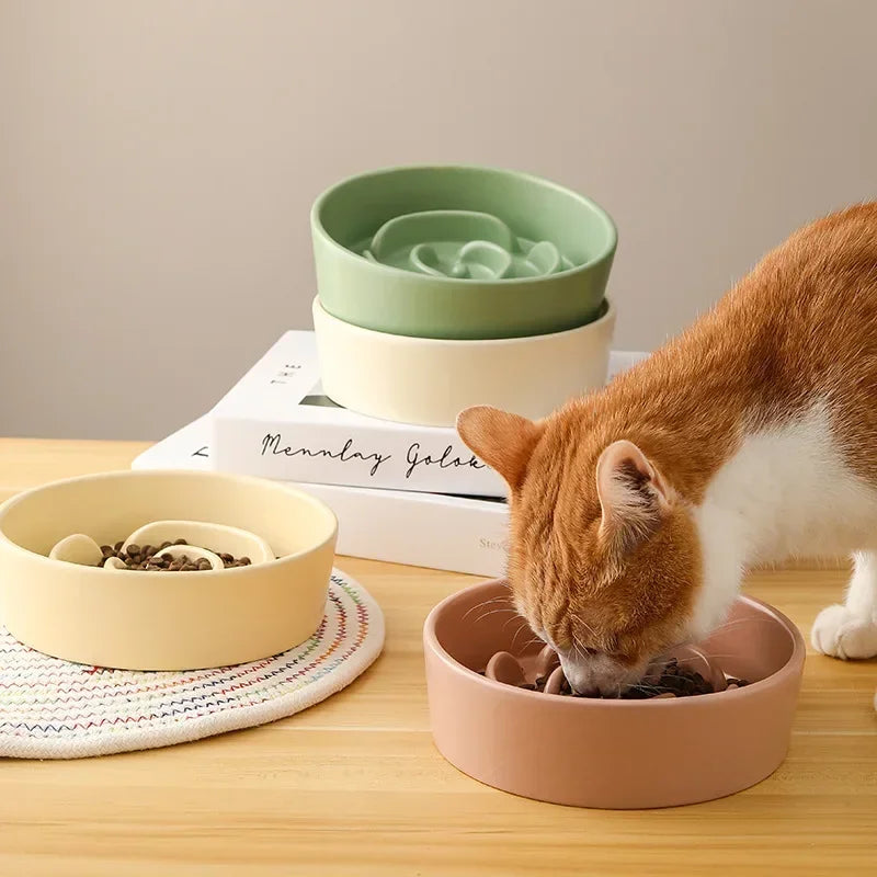 Ceramic Slow Feeder Bowl For Cats And Dogs