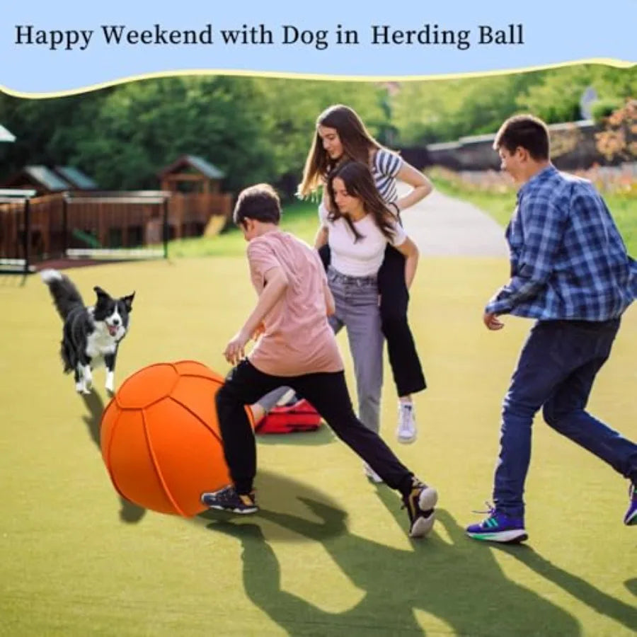 YAO HUI HUANG Herding Ball For Dogs Dual Layered Set